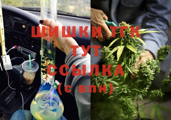 прущие крисы Надым