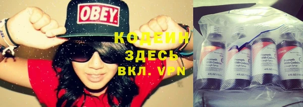 прущие крисы Надым