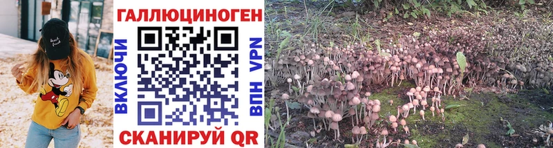 Галлюциногенные грибы GOLDEN TEACHER  цены   Назрань 